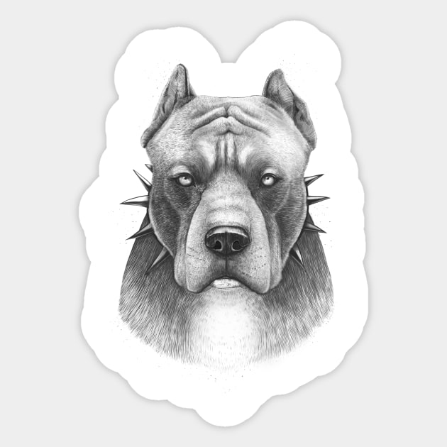 Pitbull dog sticker outlet